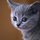 mycatblogs07